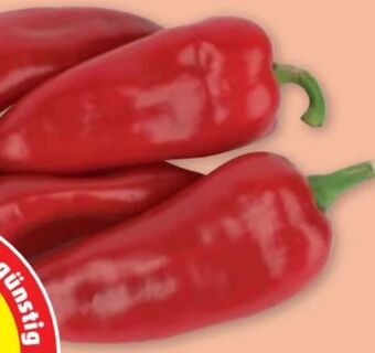 PENNY Spitzpaprika Angebot
