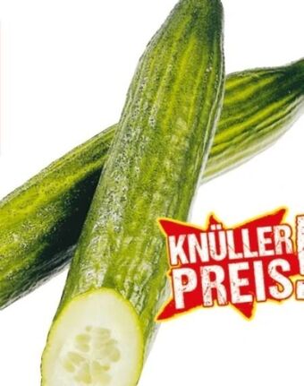 Maximarkt Gurken Angebot