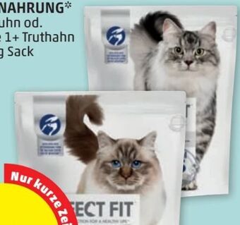 PENNY Katzennahrung Angebot