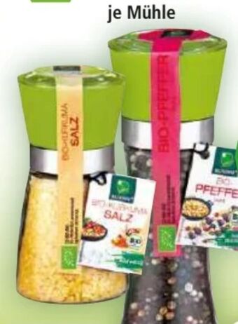 Norma Gewürzmühle Angebot