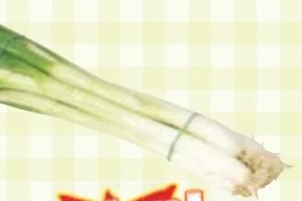 Maximarkt Jungzwiebel Angebot