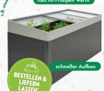Bellaflora Hochbeet Angebot