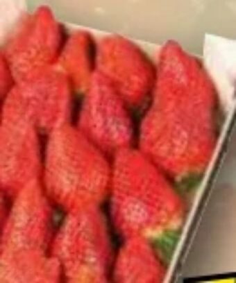 Norma Premium erdbeeren Angebot