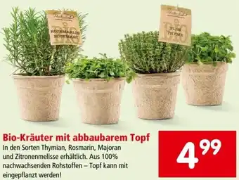 Interspar Bio-Kräuter mit abbaubarem Topf Angebot