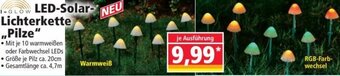 Norma LED-Solar-Lichterkette Pilze Angebot