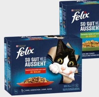 Interspar Felix katzennahrung Angebot