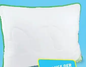 Hofer Polster greenfirst Angebot
