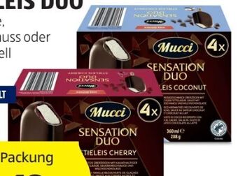 Hofer Stieleis duo Angebot