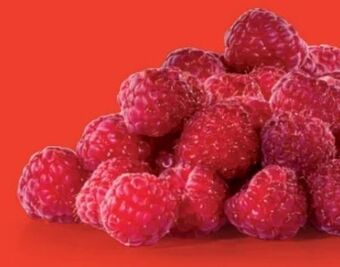 Hofer Himbeeren Angebot