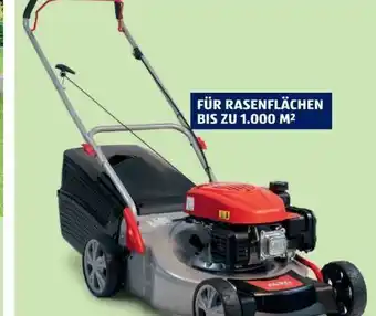 Hofer Benzin-rasenmaher 460 b Angebot
