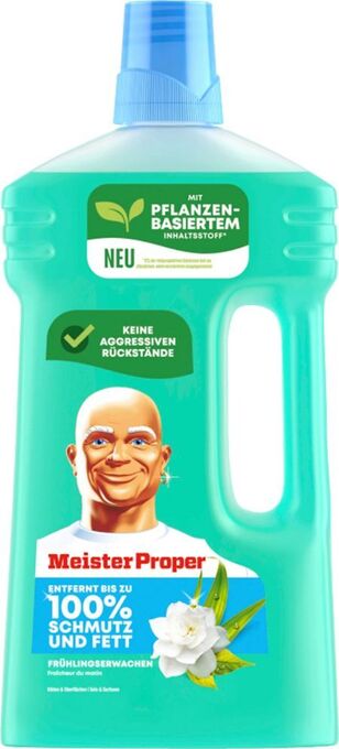 dm Allzweckreiniger Angebot
