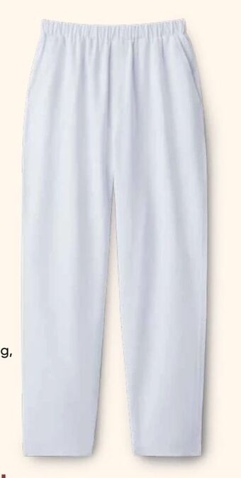 Pepco Damen hose Angebot