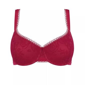 Triumph Velvet rose spotlight Angebot
