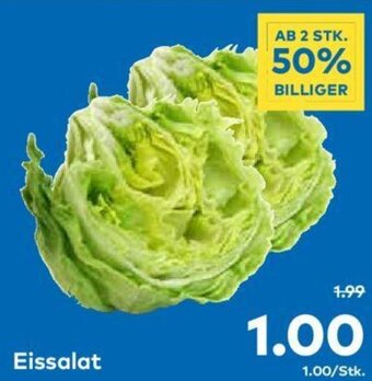 T&G Eissalat Angebot