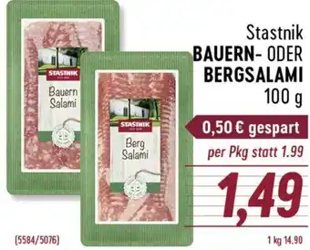 Radatz Stastnik Bauern- oder Bergsalami 100 g Angebot