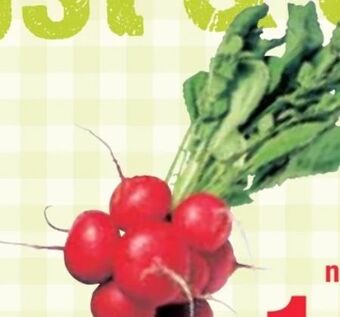 Maximarkt Radieschen Angebot