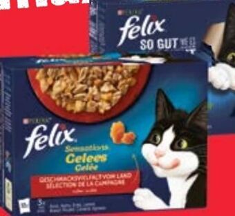 Maximarkt Felix katzennahrung Angebot