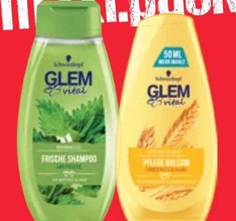 Maximarkt Glem vital shampoo Angebot