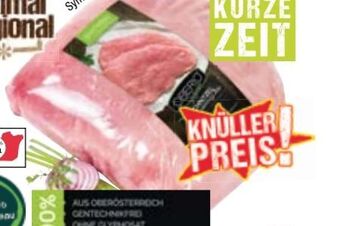 Maximarkt Schnitzel Angebot