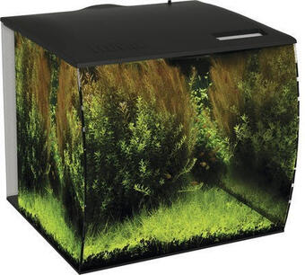 Hornbach Aquarium fluval flex 57 l mit led-beleuchtung, filter, pumpe ohne unterschrank schwarz Angebot