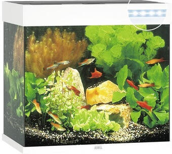 Hornbach Aquarium juwel lido 120 mit led-beleuchtung, pumpe, filter, heizer ohne unterschrank weiß Angebot