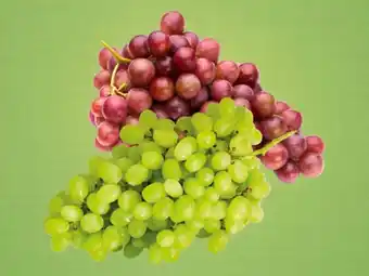 Lidl Trauben mix kernlos Angebot