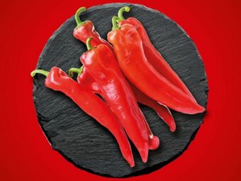 Lidl Spitzpaprika rot Angebot