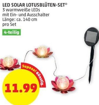 PENNY Led Solar Lotusblüten-Set Angebot