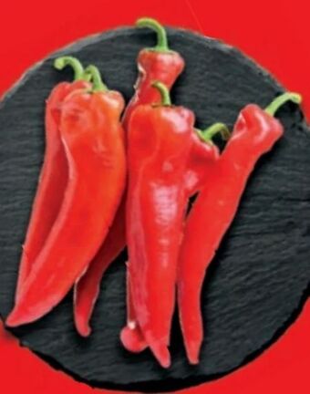 Lidl Spitzpaprika Angebot