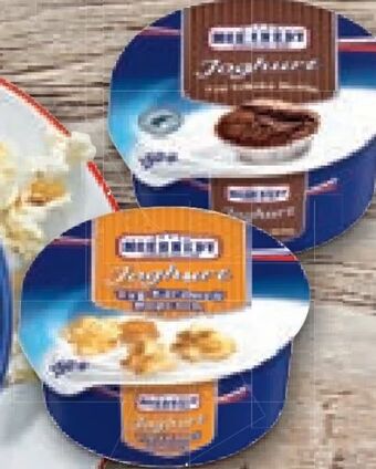 Lidl Joghurt Angebot
