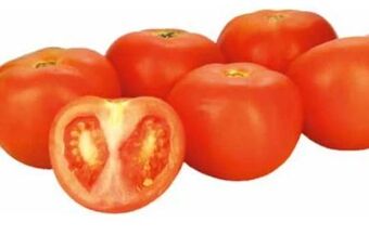 Transgourmet Bio tomaten Angebot