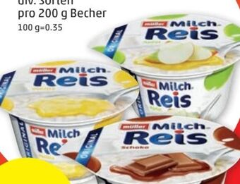 PENNY Milchreis Angebot