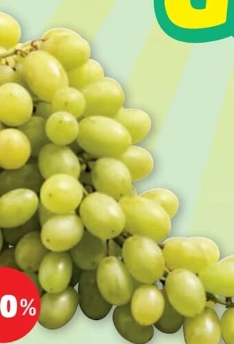 PENNY Trauben Angebot