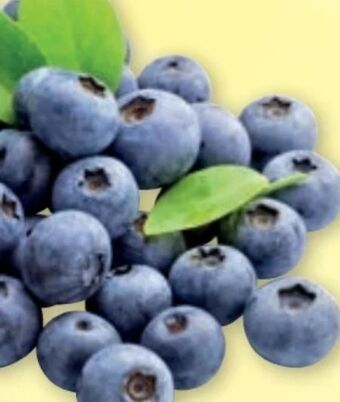PENNY Heidelbeeren Angebot