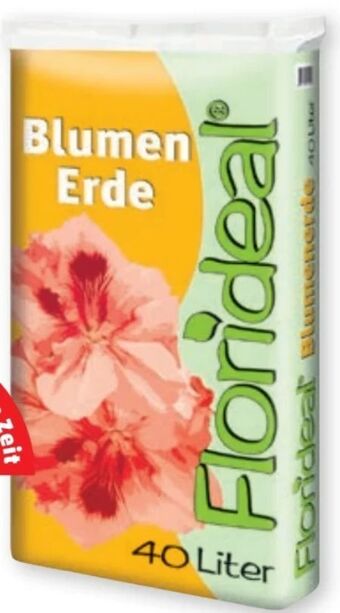 PENNY Blumenerde Angebot