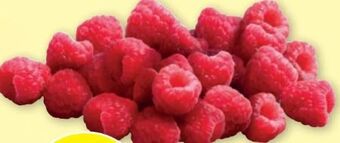 PENNY Himbeeren Angebot
