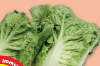 PENNY Salatherzen Angebot