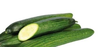 Transgourmet Gurken Angebot