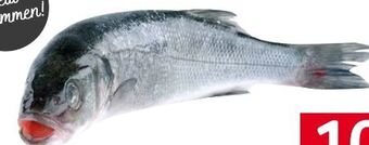 Transgourmet Wolfsbarsch Angebot
