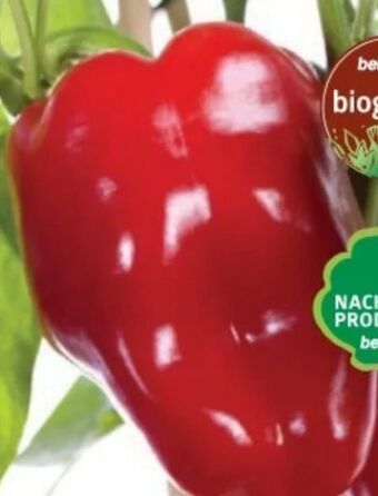 Bellaflora Bio gourmet-gemüse Angebot