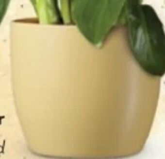 Bellaflora Topf basel Angebot