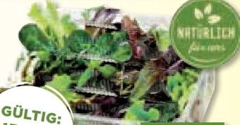 Unimarkt Bio mix pflücksalat Angebot
