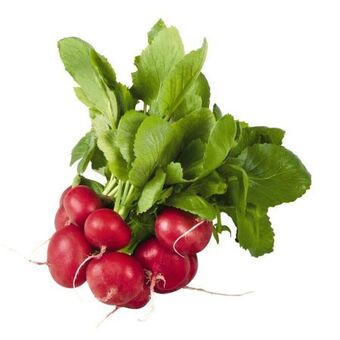 Billa Bio-radieschen Angebot