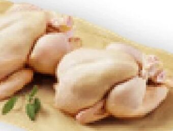 Billa Hendlfilet Angebot