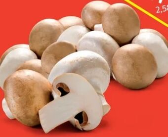 Hofer Champignons Angebot