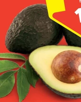 Hofer Avocados Angebot