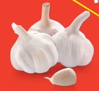 Hofer Knoblauch Angebot