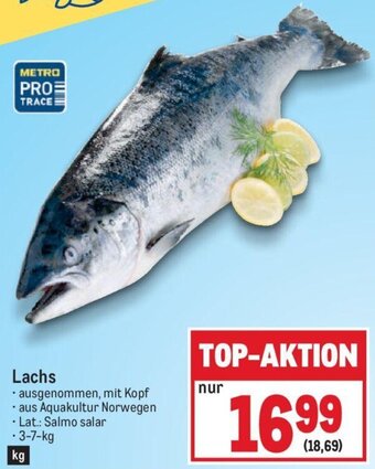 Metro Lachs Angebot