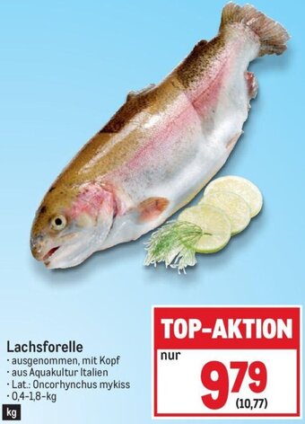 Metro Lachsforelle Angebot