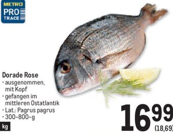 Metro Dorade Rose 300-800 g Angebot